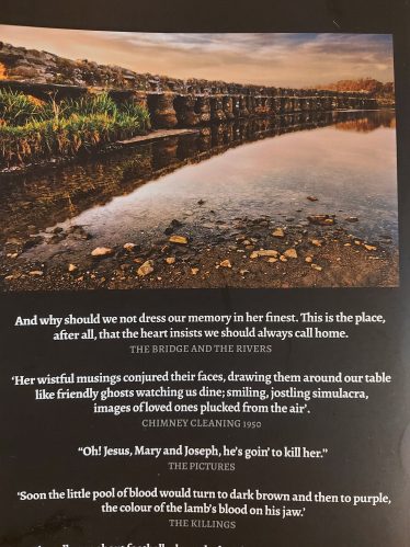 Back cover Michael Lyons Book | Mary O'Malley
