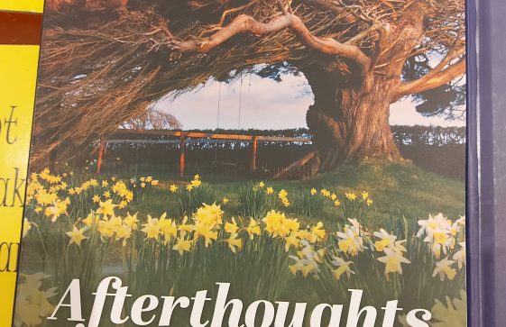 Afterthoughts- Michael Lyons- Book