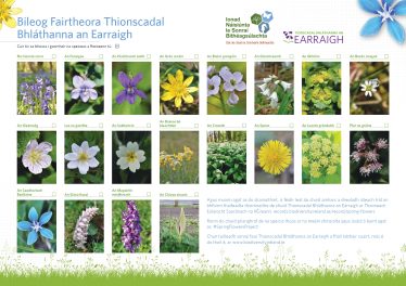 Irish-Spring-Flowers-Project-A3-Spotter-Sheet-2022- | BSBI