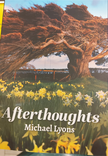 Michael Lyons book cover Afterthoughts | Mary O'Malley