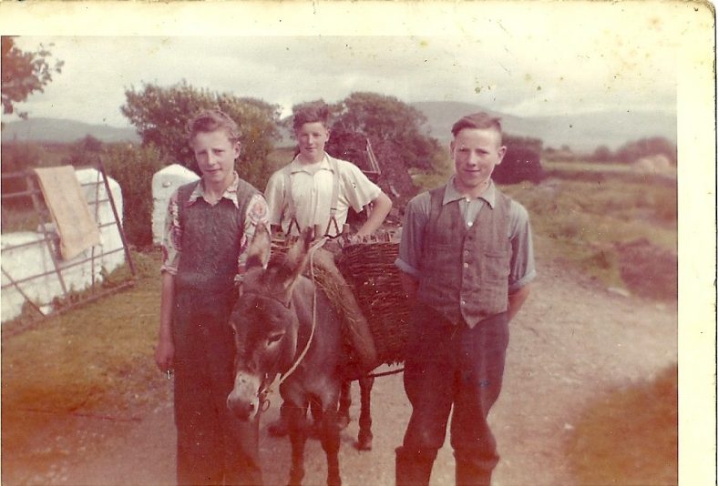 Joe, Seamus & Mike Maxwell, Ballyhip, 1958. Note the Cleaves on the Donkey full of turf fresh from the bog. | Mags McConnell